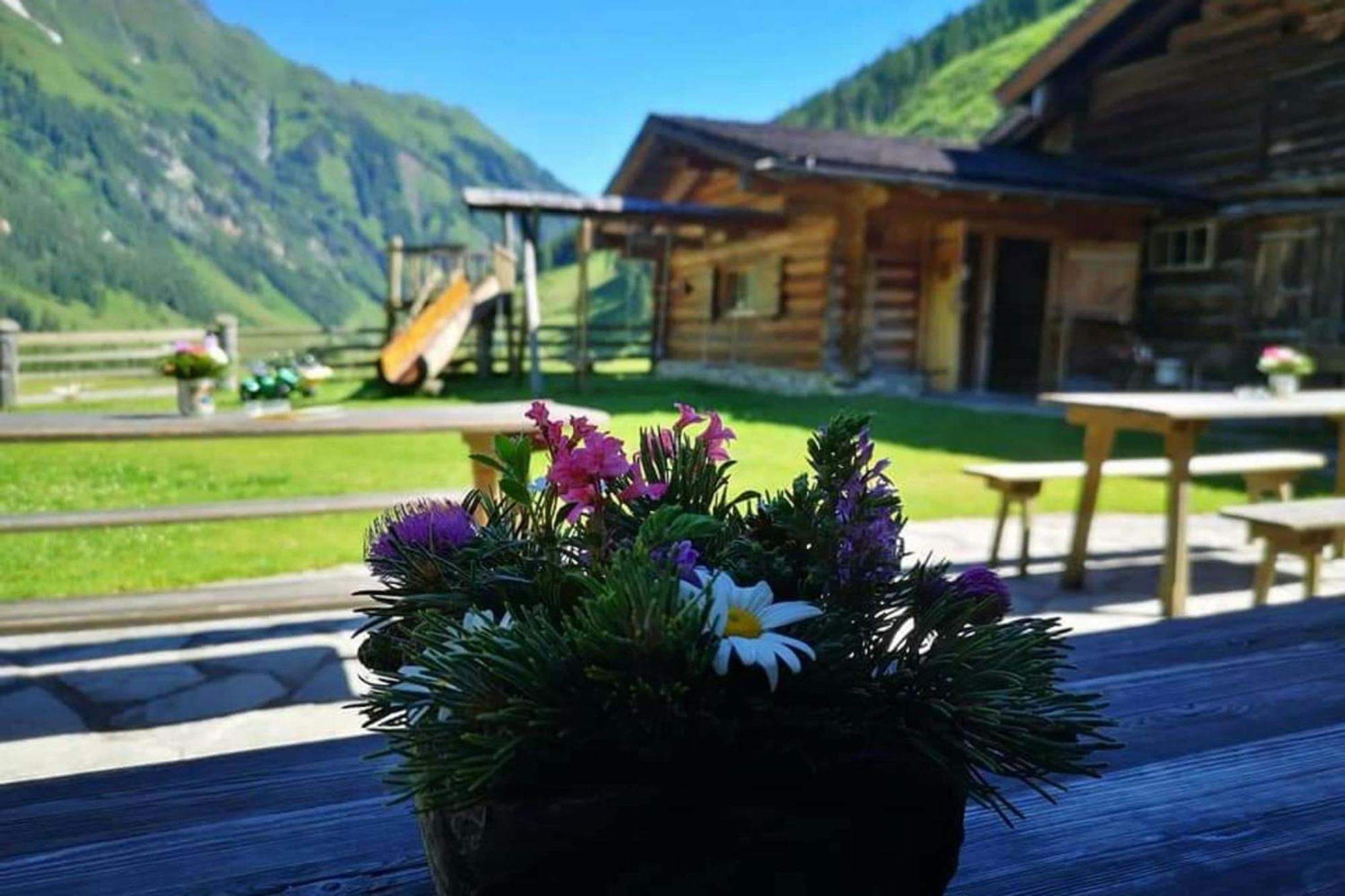 Andrea 7 By Smr Rauris Apartments - Inc Spa And Near Gondola Eksteriør billede